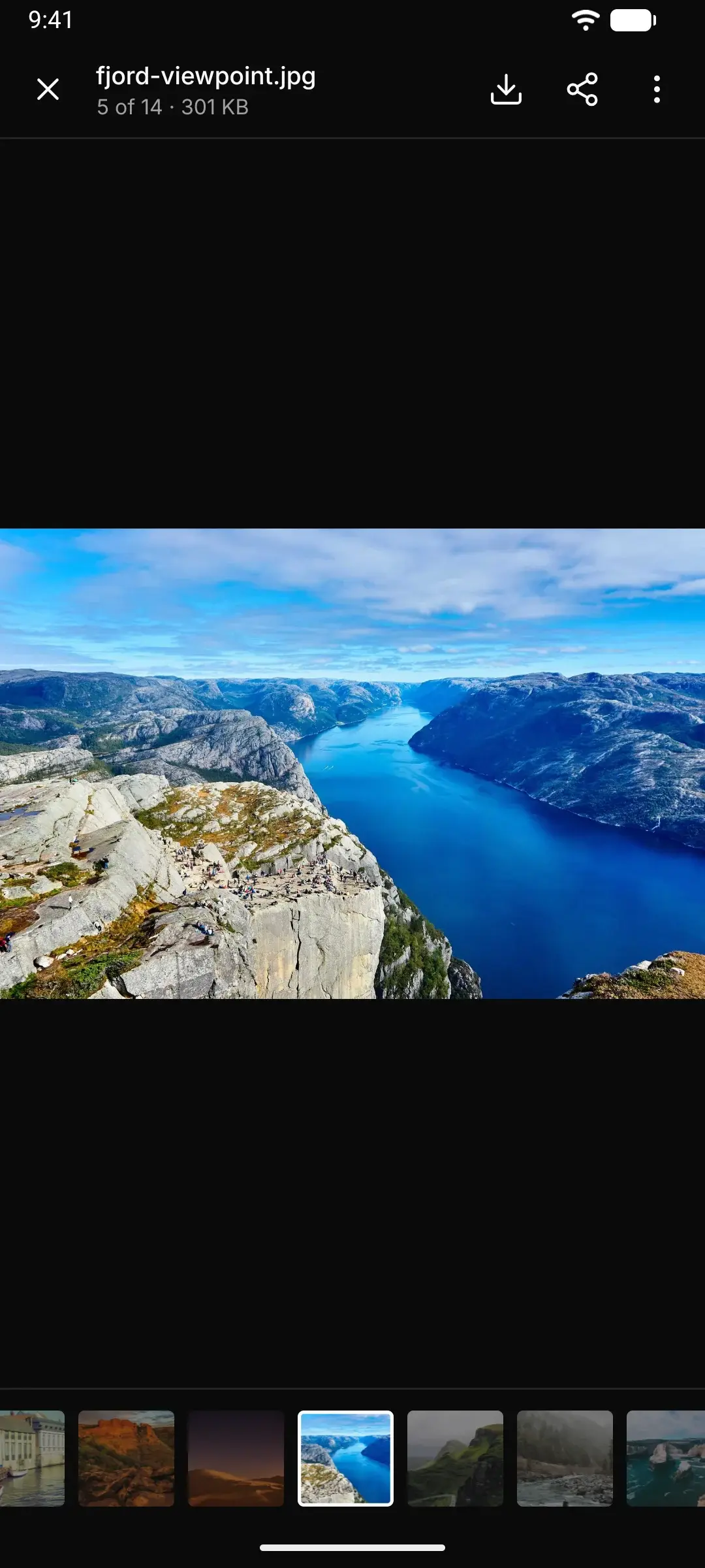 A photo open in the app's viewer